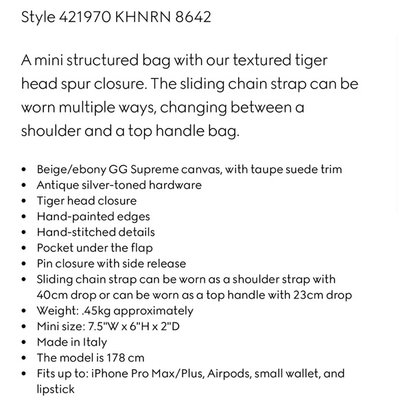 Gucci Dionysus - Picture 13 of 14